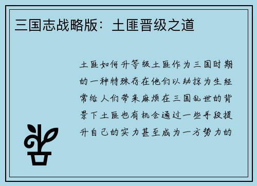 三国志战略版：土匪晋级之道